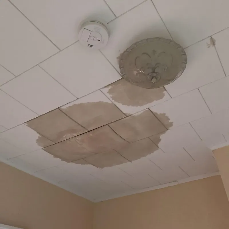 Ceiling Water Damage Repair in Lake Ridge, VA