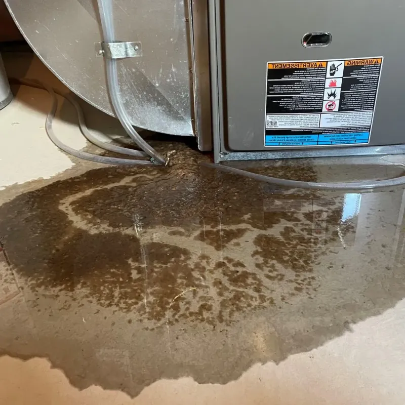 Pipe Burst and Leak Restoration in Lake Ridge, VA